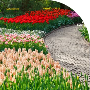 For flowers and lawns